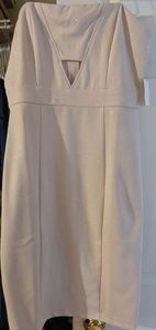 Charlotte Russe Dress